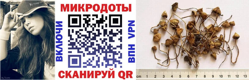 Галлюциногенные грибы MAGIC MUSHROOMS Коломна